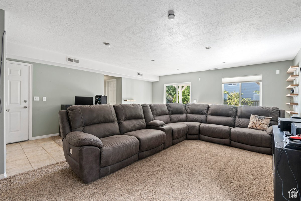 Living room featuring a textured ceiling and light carpet