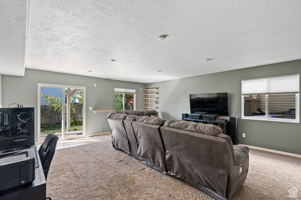 Living room with a textured ceiling and light carpet