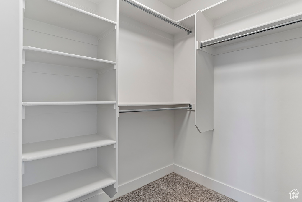 Spacious closet featuring carpet floors