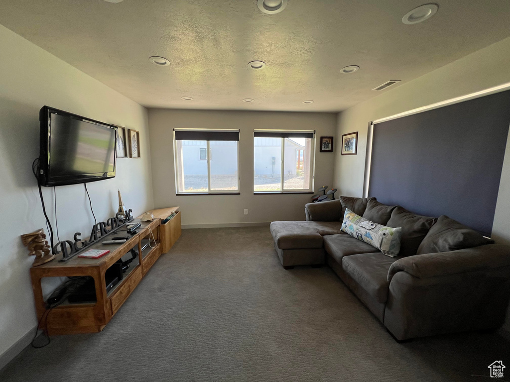 Living room featuring carpet and a textured ceiling