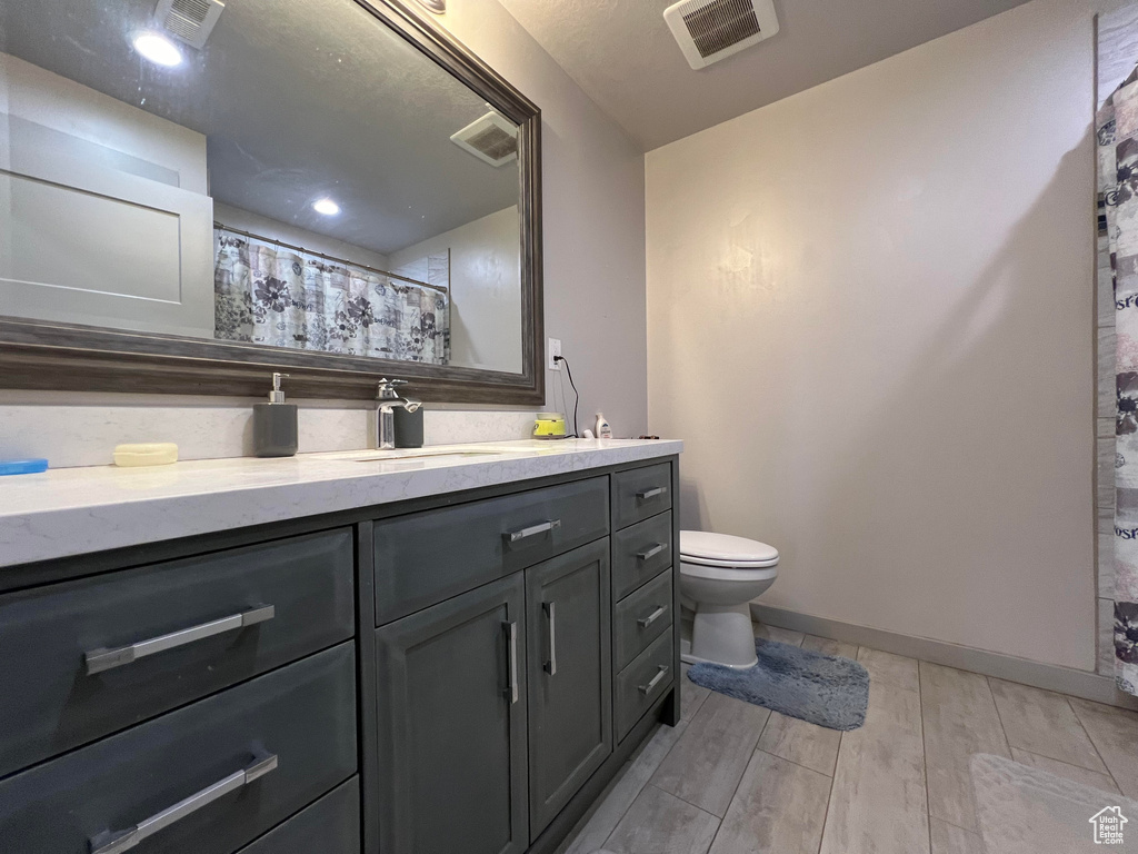 Bathroom featuring vanity, toilet, and wood-type flooring