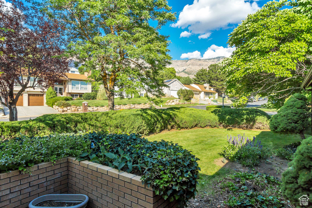 View of yard with a mountain view and a garage