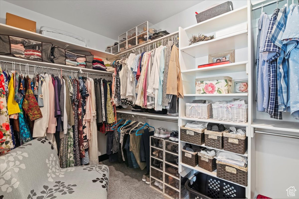 Spacious closet featuring carpet flooring