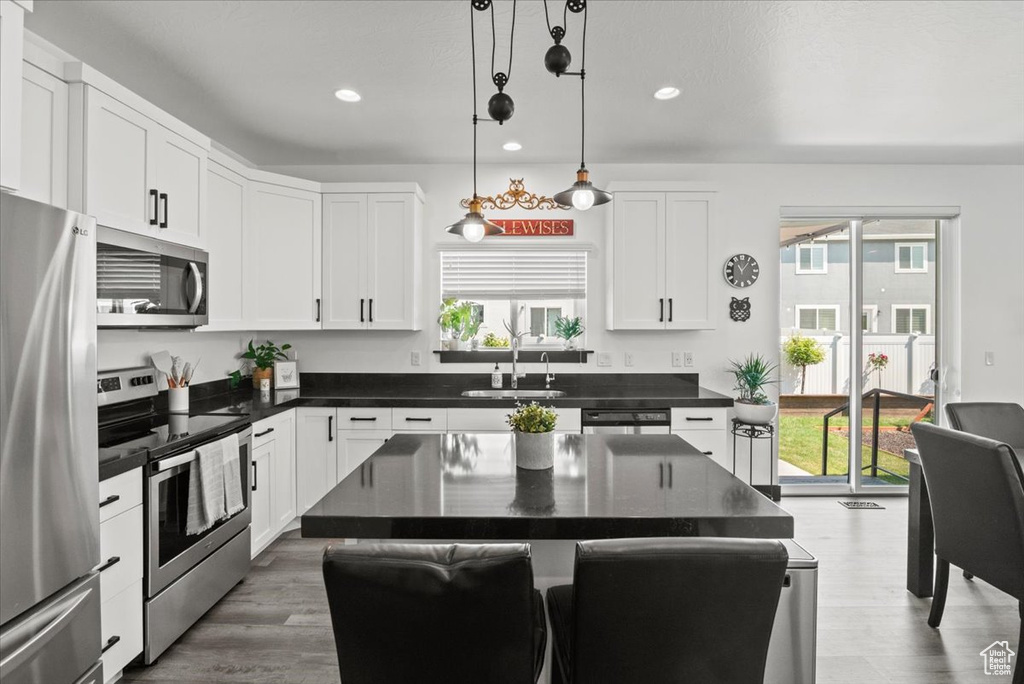 Kitchen featuring pendant lighting, plenty of natural light, stainless steel appliances, and a center island