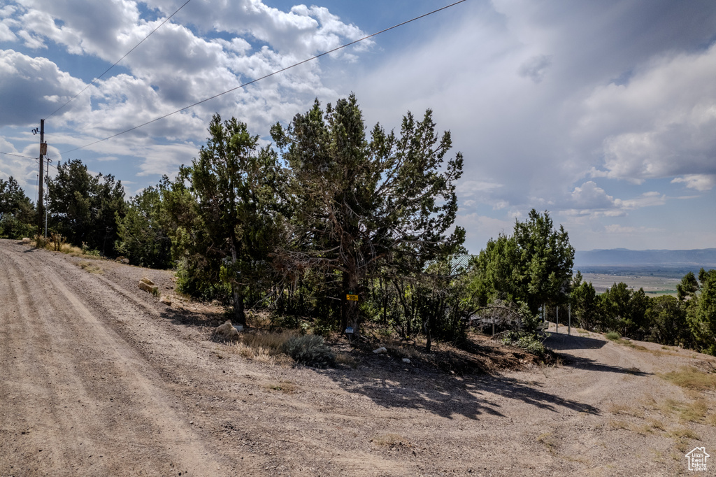 View of road
