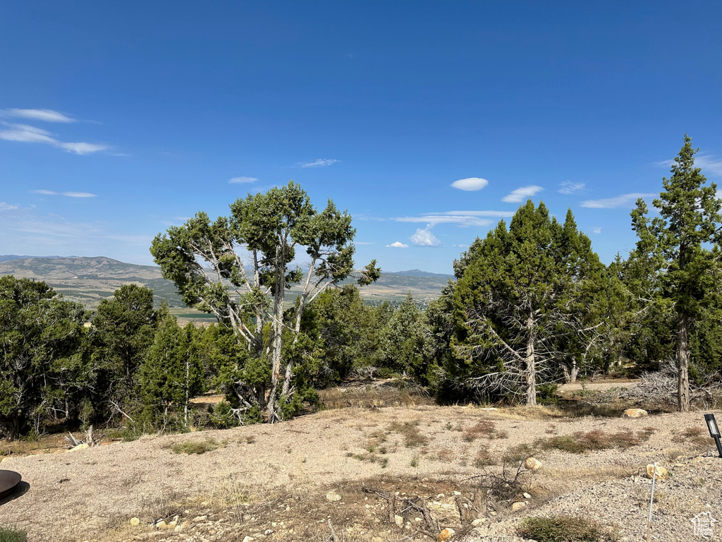 Mountain view