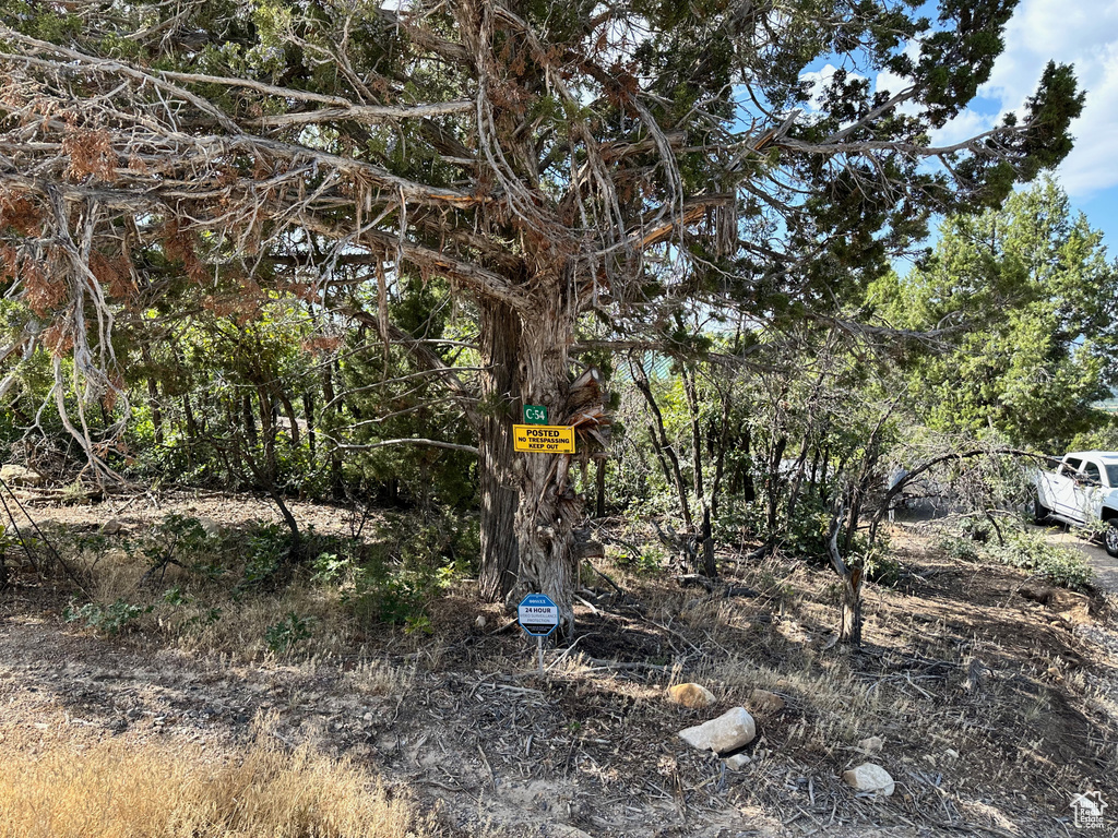 View of nature