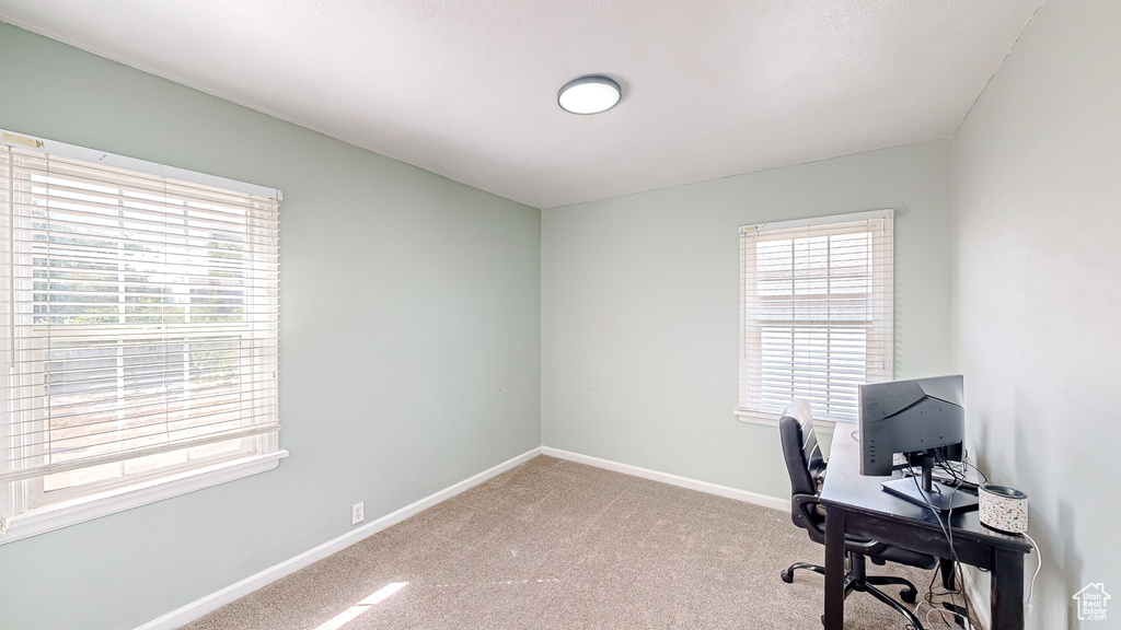 View of carpeted office