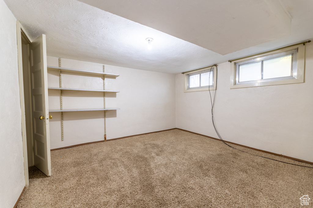 Basement featuring light colored carpet