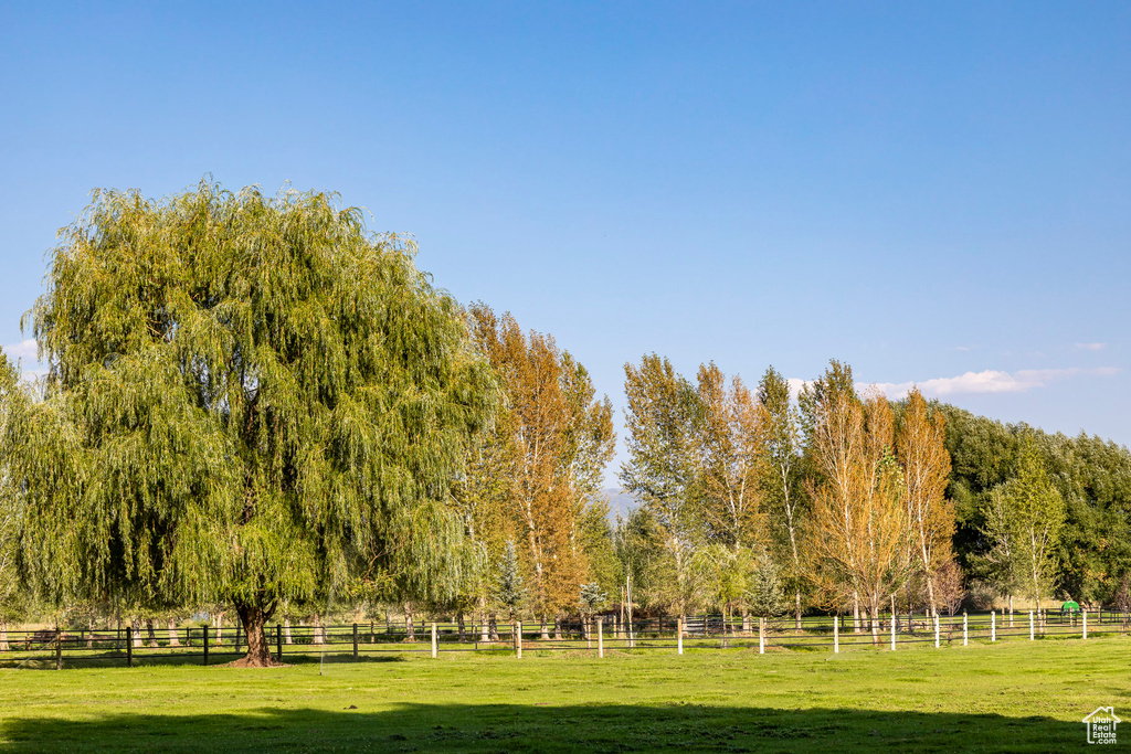 View of home's community with a rural view and a yard