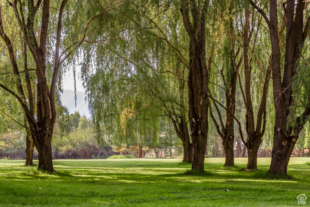 View of property's community featuring a lawn