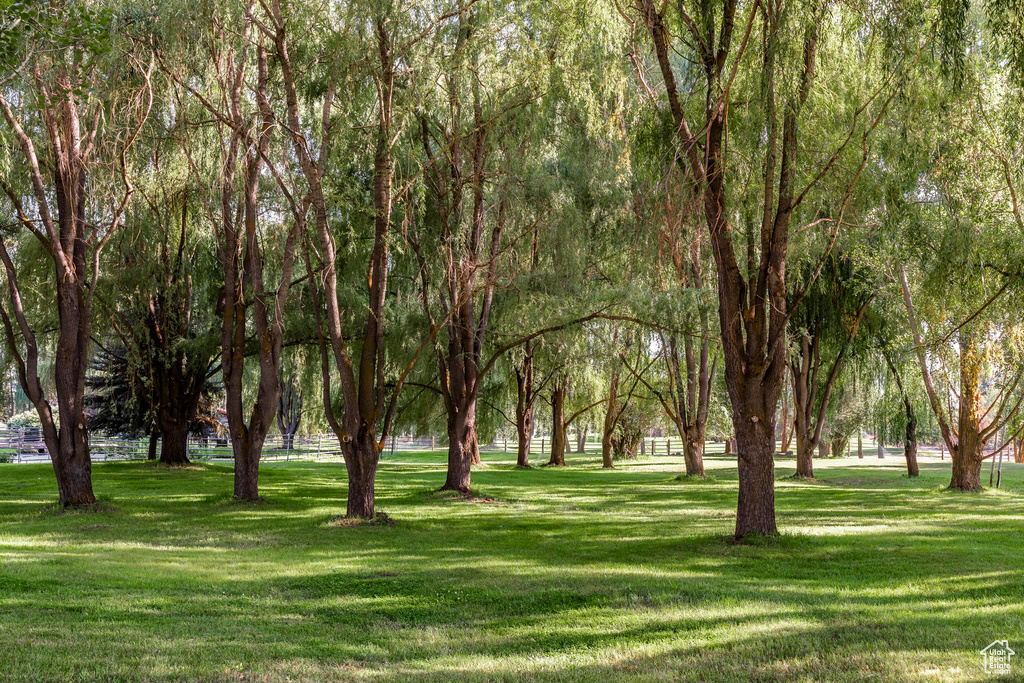 View of property's community with a yard