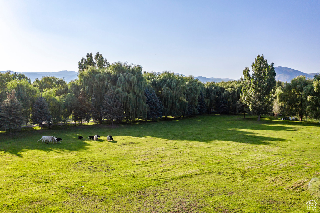 View of yard with a mountain view and a rural view