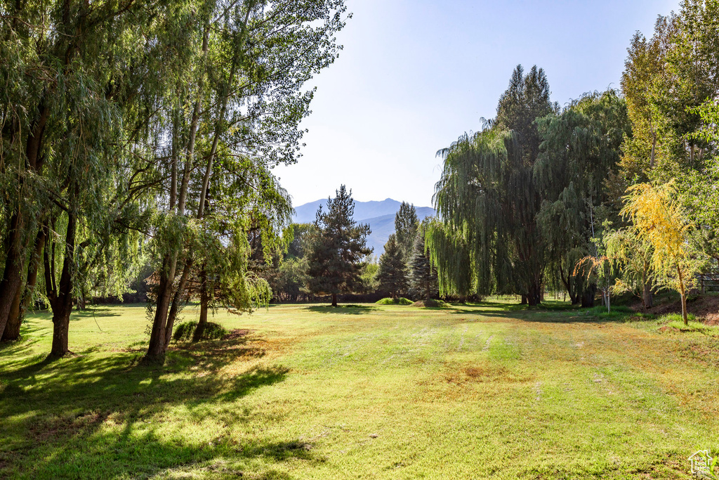 View of property's community featuring a mountain view and a lawn