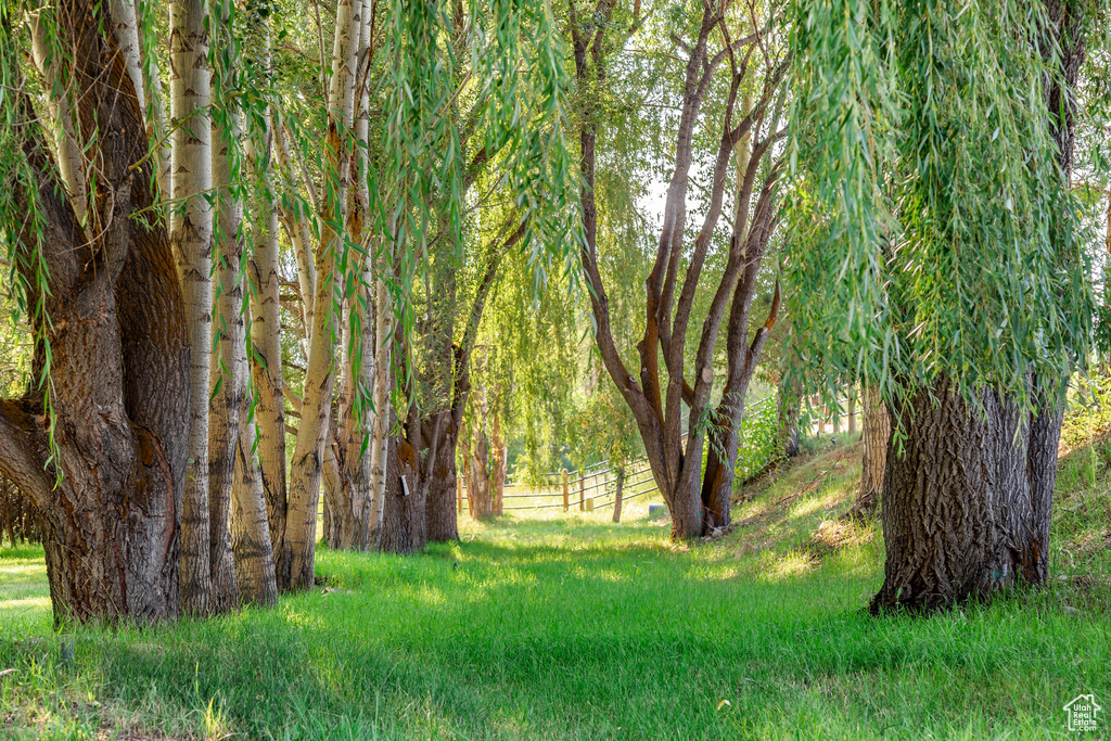 View of nature