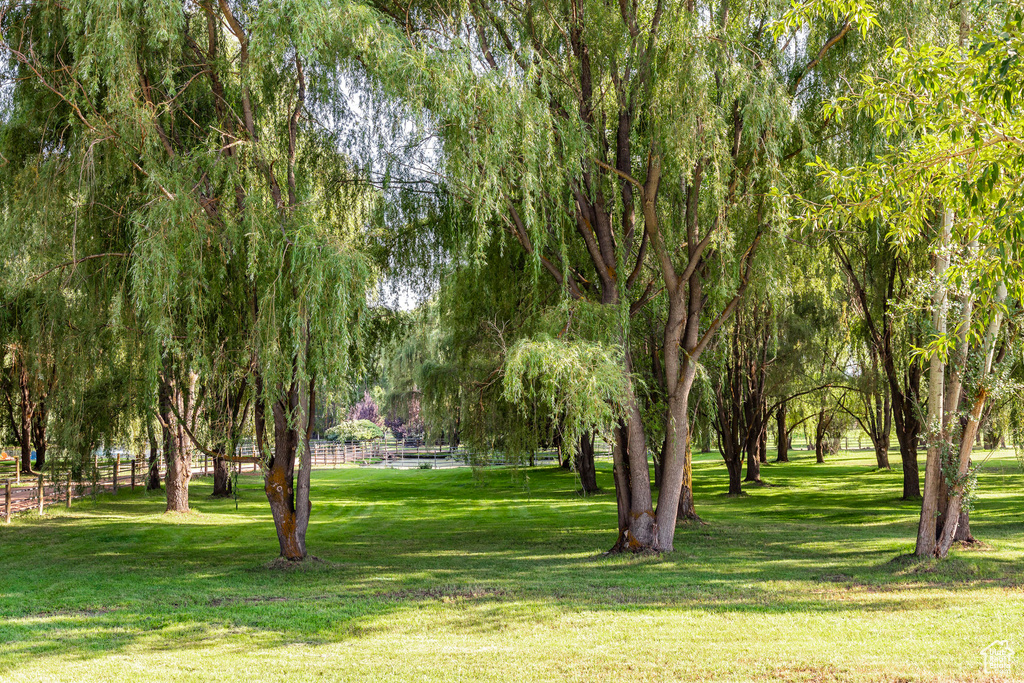 View of home's community featuring a yard