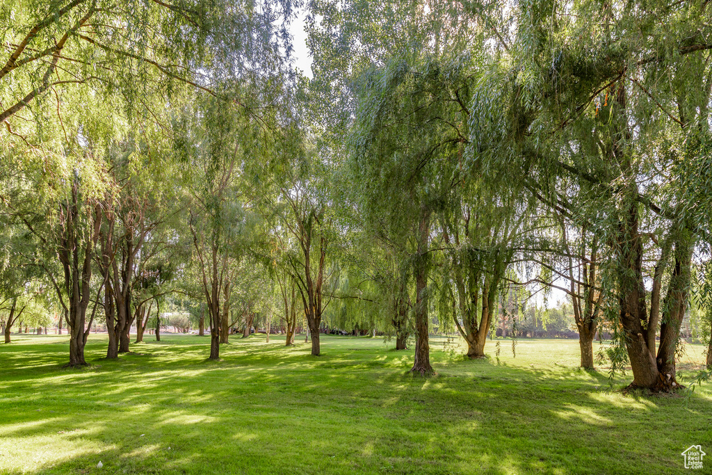 Surrounding community featuring a yard