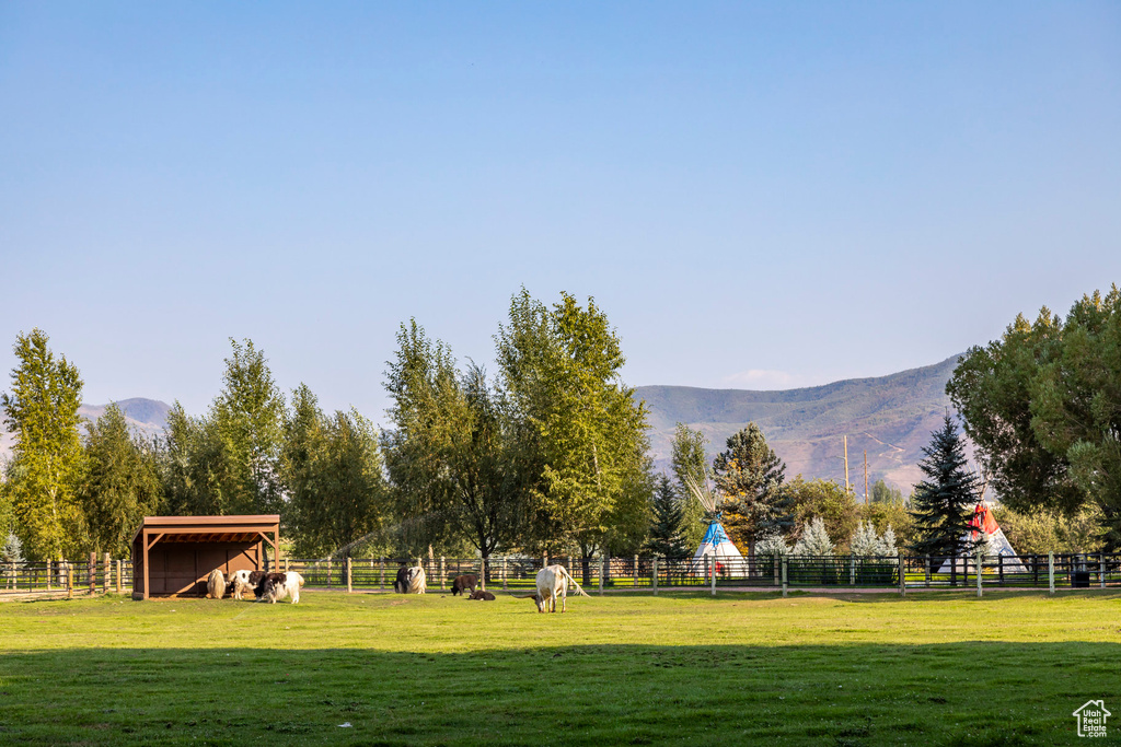 View of property's community with a yard, a rural view, and a mountain view