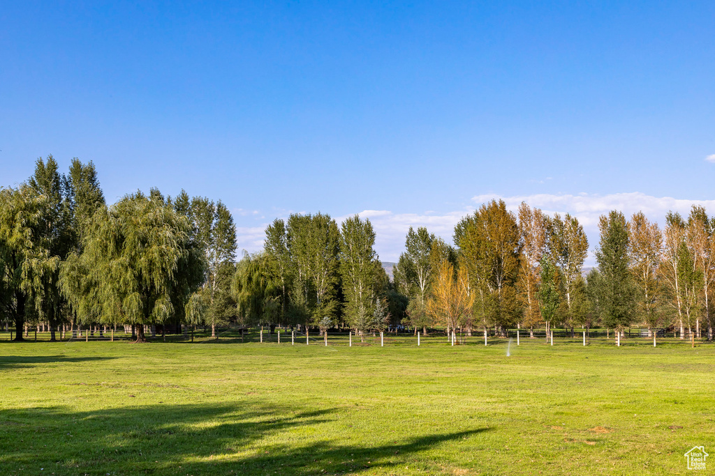 View of home's community with a rural view and a yard