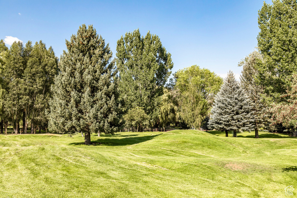 View of property's community featuring a yard