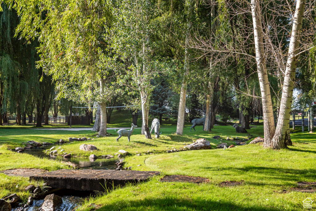 Surrounding community featuring a lawn