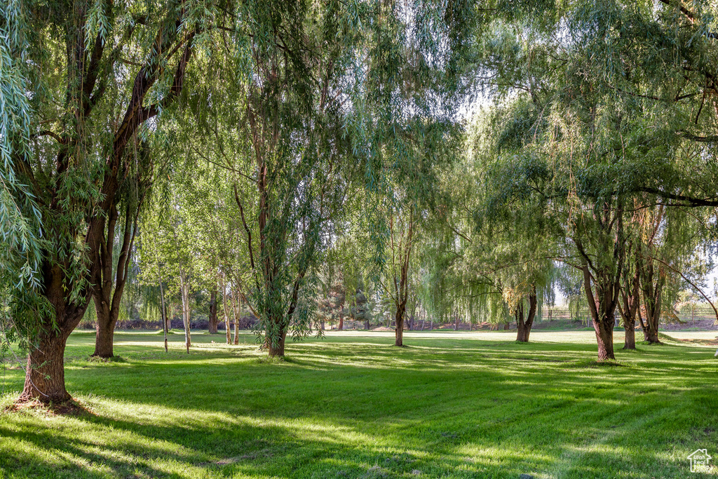 View of property's community with a lawn