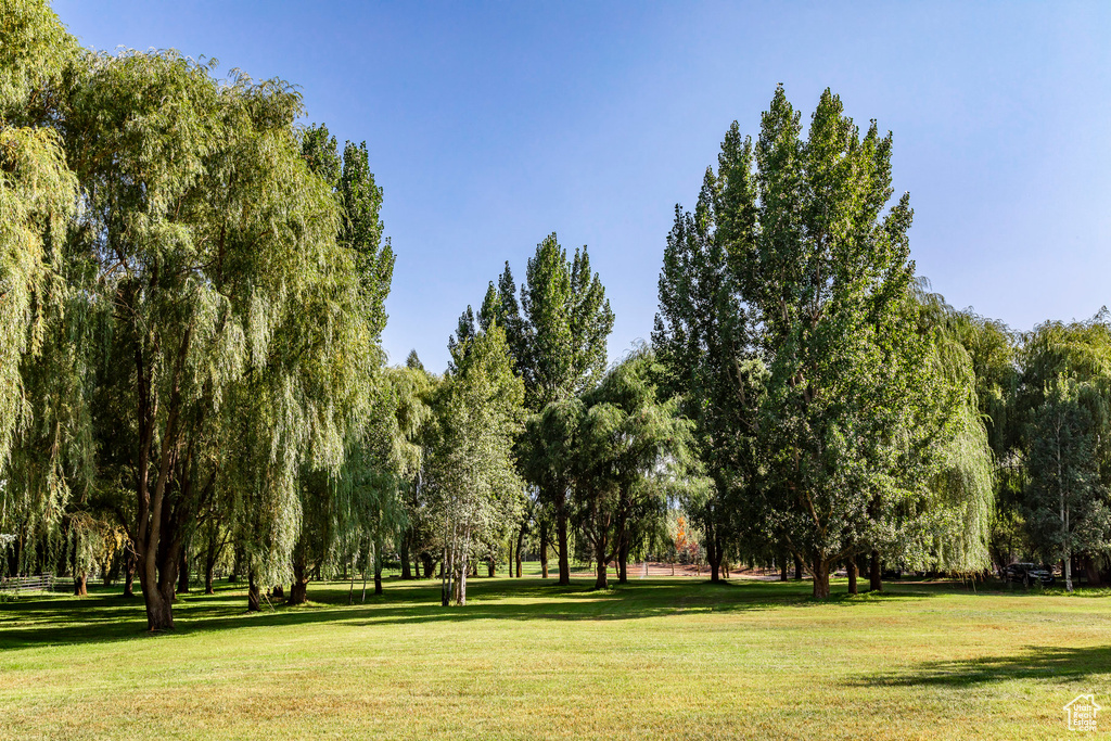 Surrounding community featuring a yard