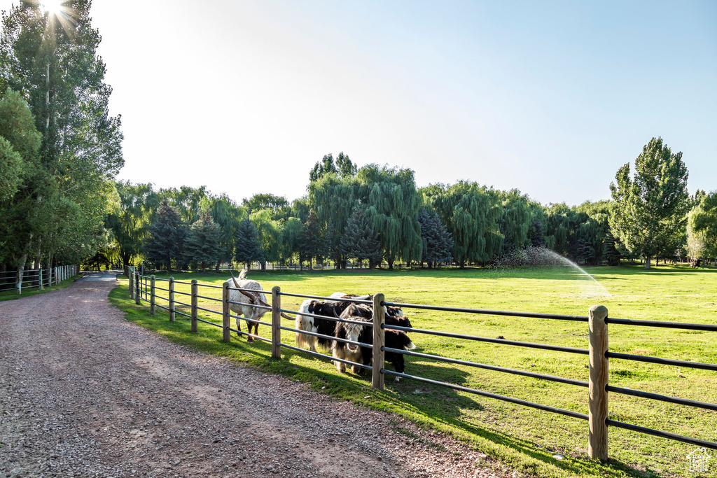 View of road featuring a rural view