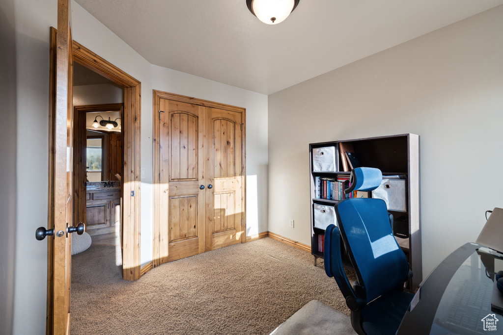 Office featuring carpet