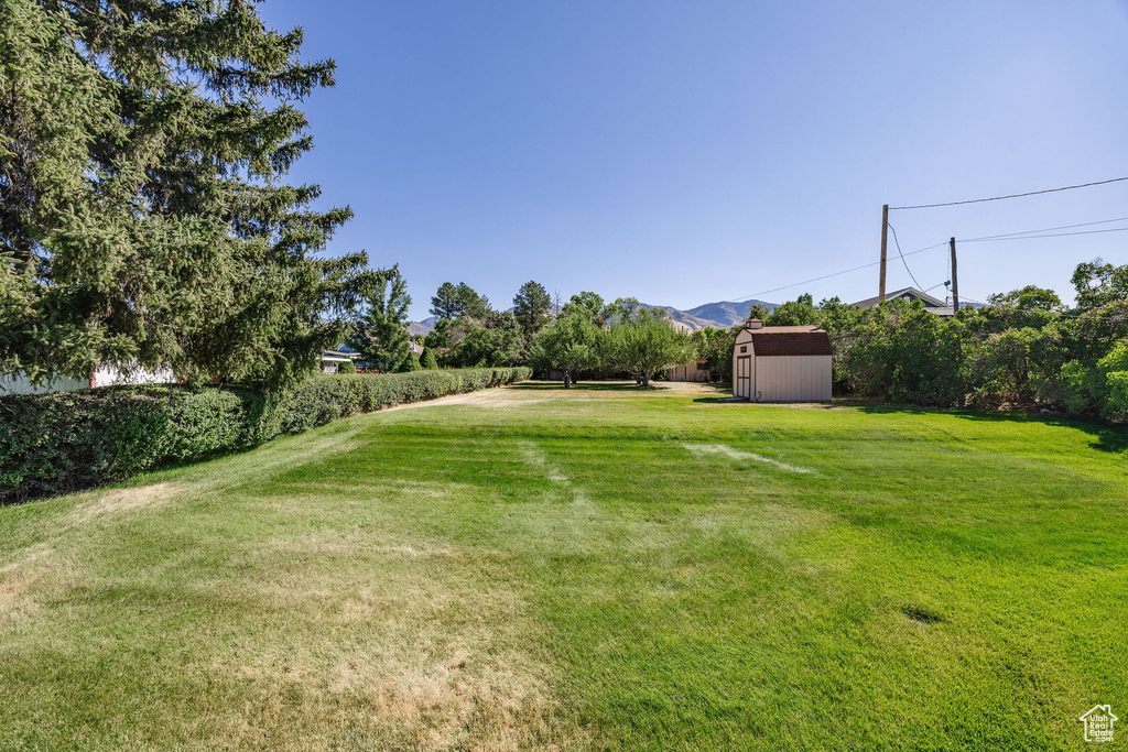 View of yard featuring a mountain view and a storage unit