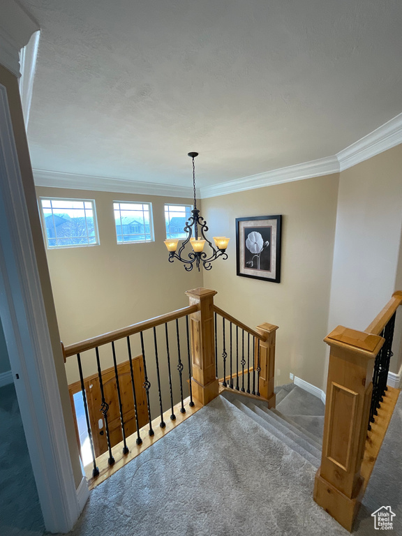 Stairway with carpet flooring, an inviting chandelier, and crown molding