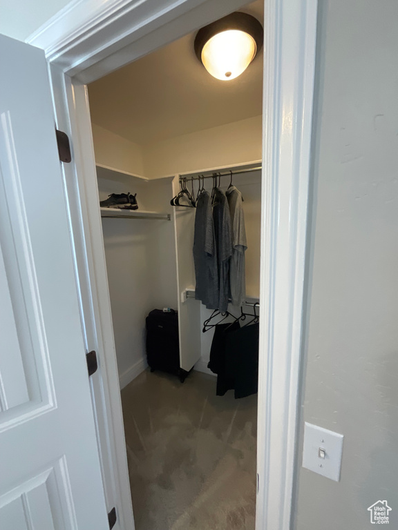 Walk in closet with light carpet