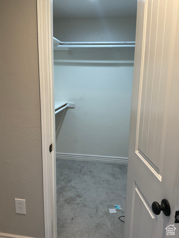 Walk in closet with carpet