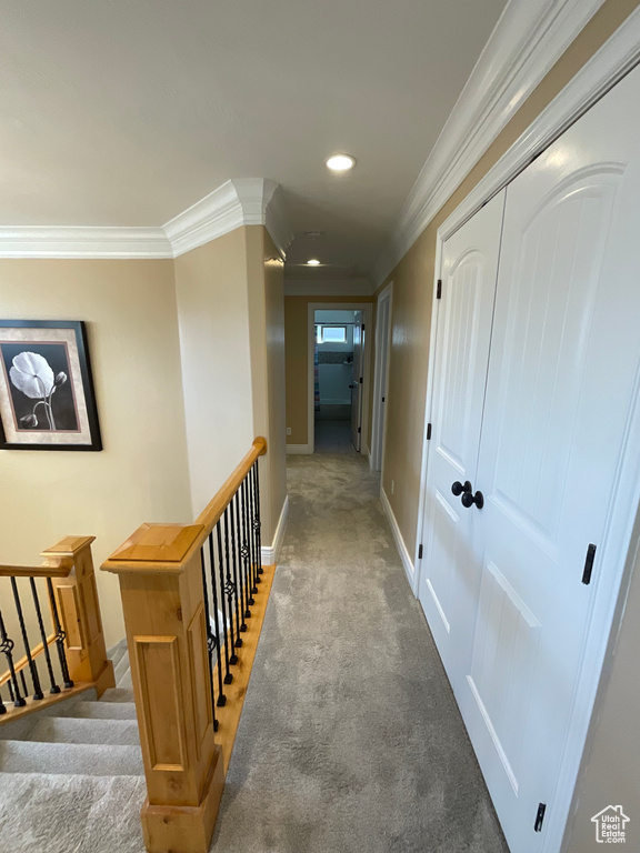 Corridor with crown molding and carpet flooring