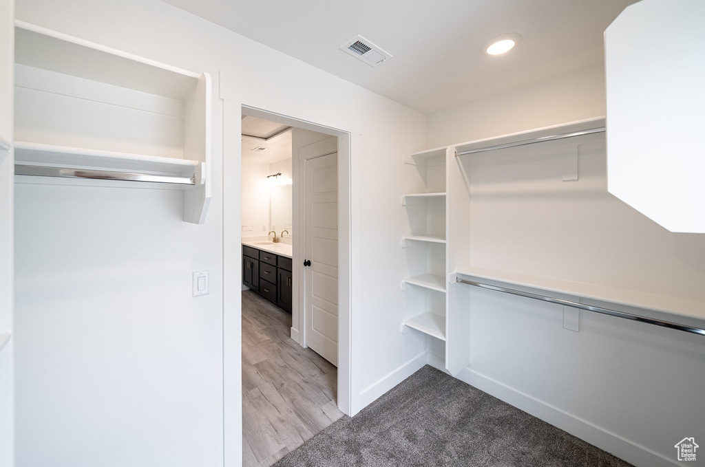 Walk in closet featuring hardwood / wood-style flooring and sink