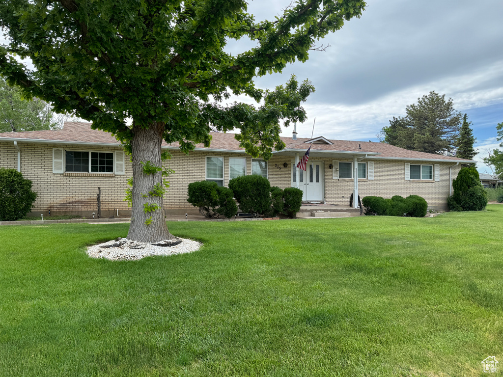 Ranch-style house with a front yard