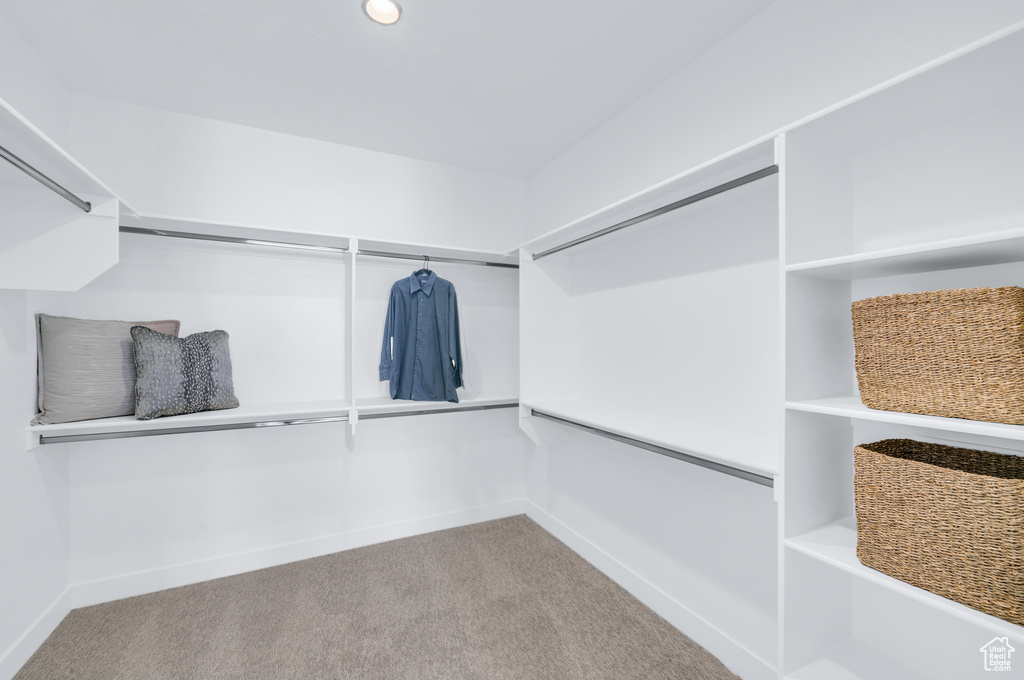 Spacious closet featuring carpet flooring