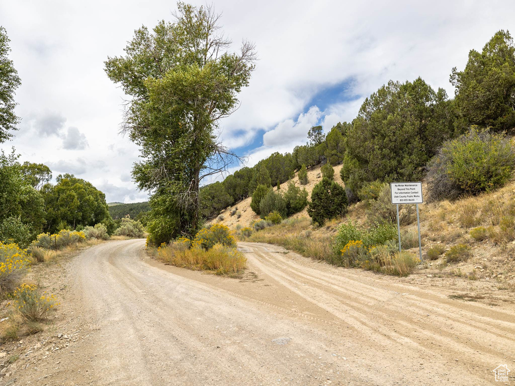 View of road