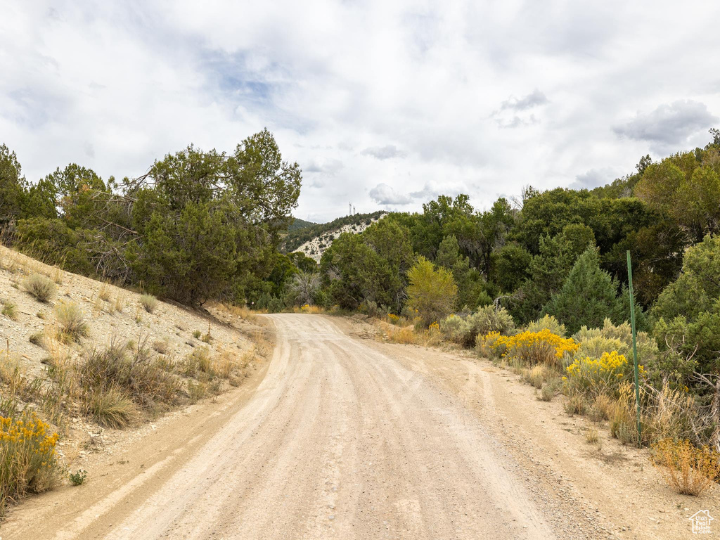 View of road