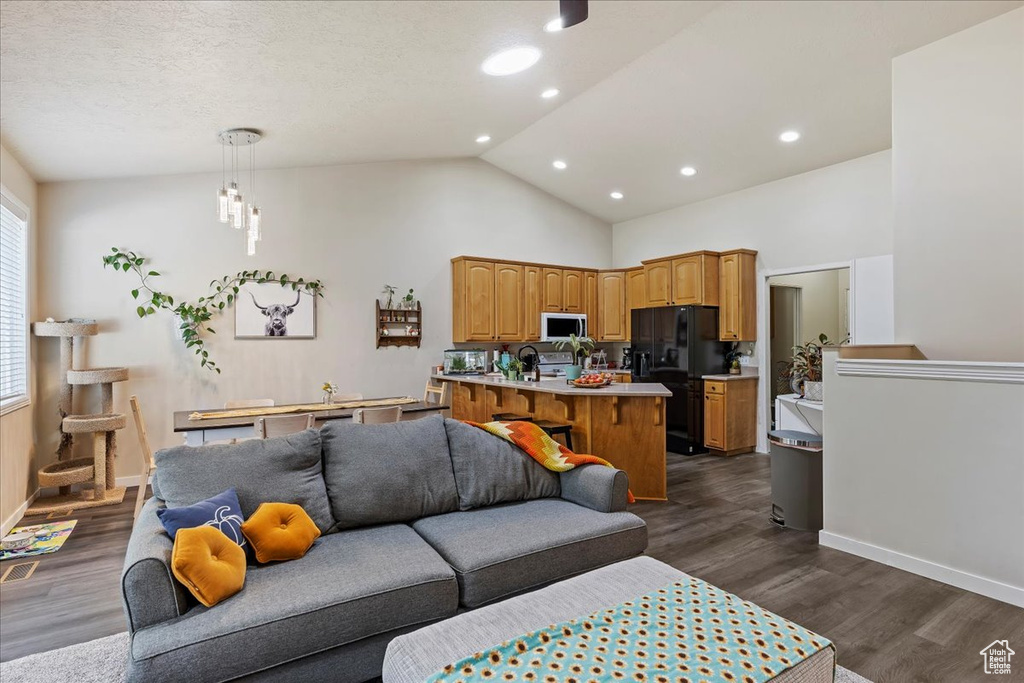 Living room with a textured ceiling, sink, dark hardwood / wood-style flooring, and high vaulted ceiling