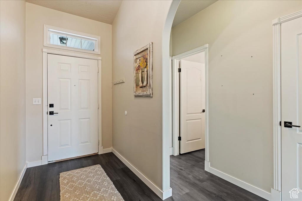 Entrance foyer with dark hardwood / wood-style flooring