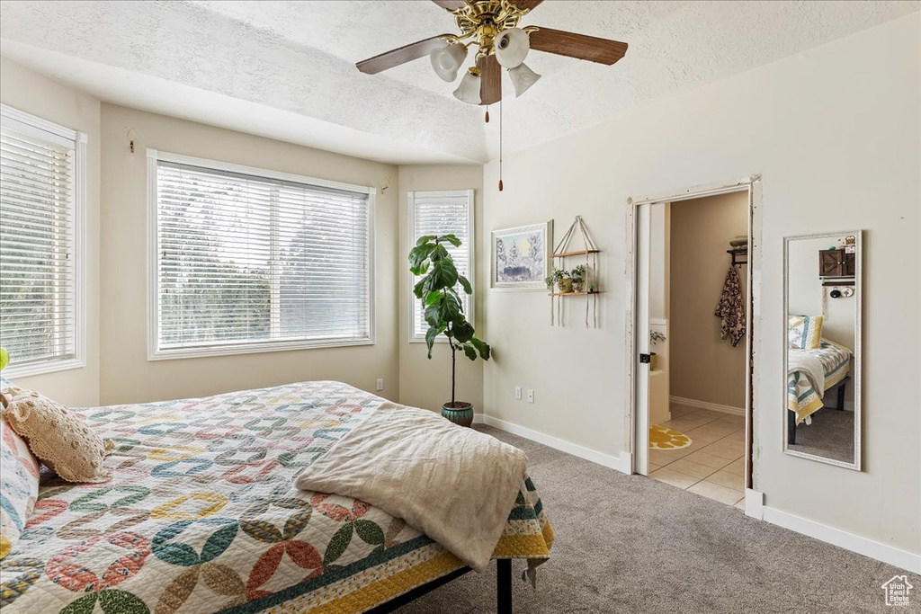 Carpeted bedroom featuring a textured ceiling, ceiling fan, and multiple windows