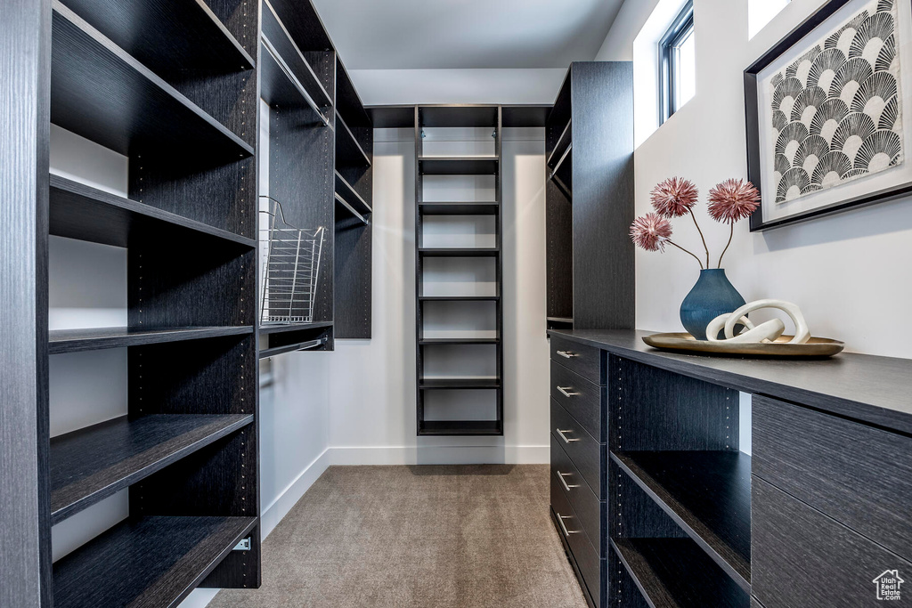 Spacious closet with carpet