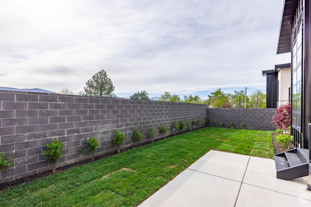 View of yard with a patio area