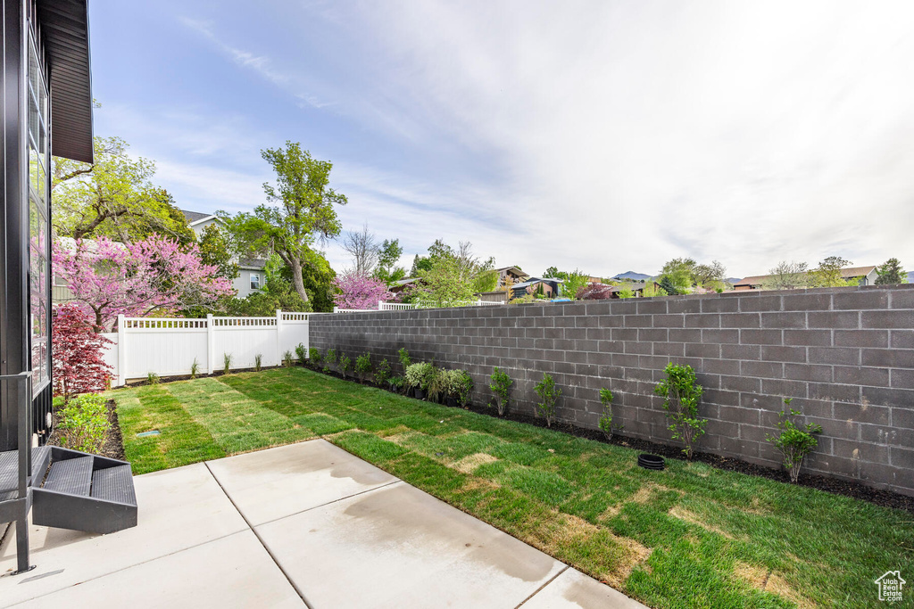 View of yard featuring a patio area