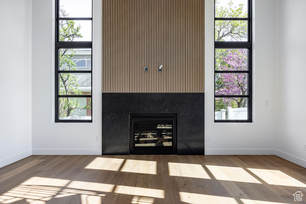 Room details featuring wood-type flooring and a fireplace