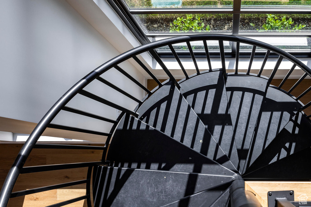 Stairs featuring hardwood / wood-style flooring