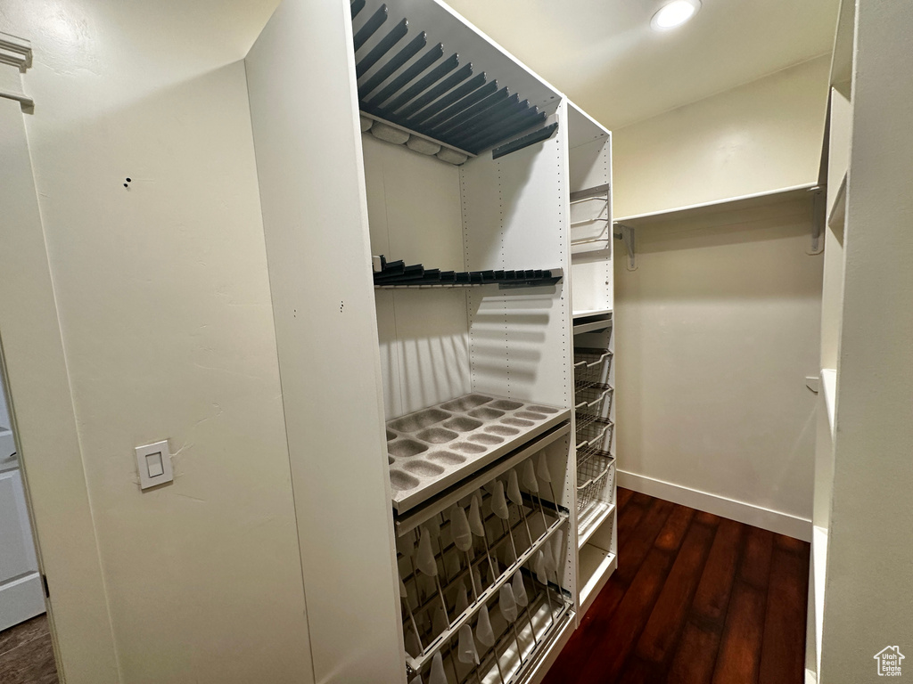 Walk in closet with dark wood-type flooring