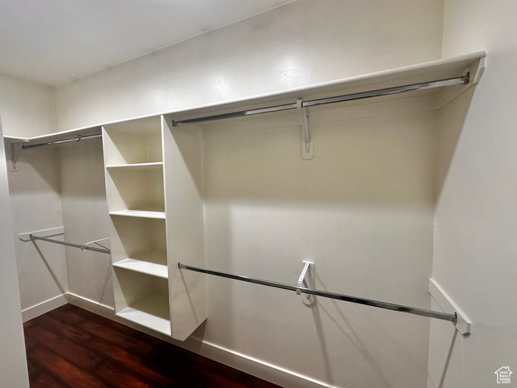 Spacious closet featuring dark wood-type flooring