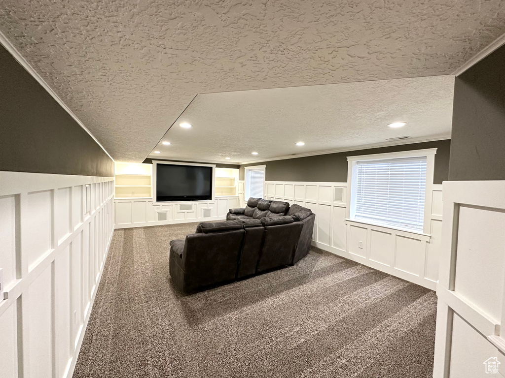 Cinema room with ornamental molding, carpet, and a textured ceiling